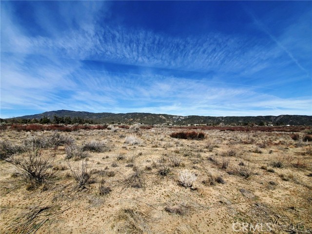 MLS #SW25221214 image #12