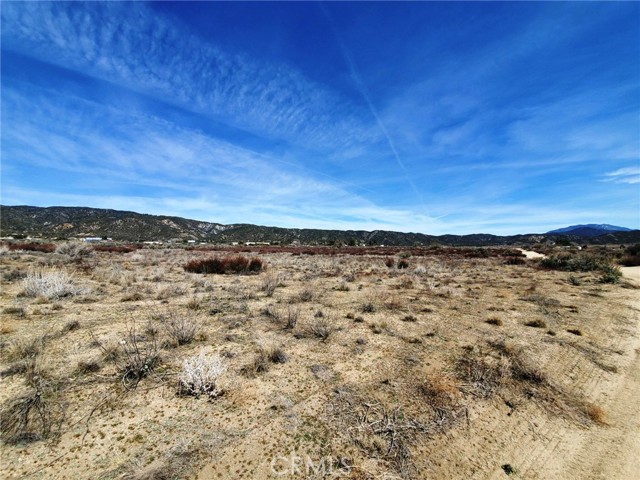 MLS #SW25221214 image #13