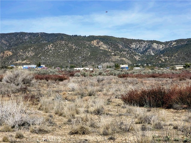 MLS #SW25221214 image #2