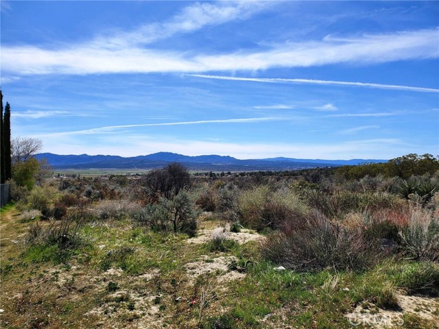 MLS #SW25221214 image #3