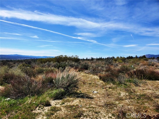 MLS #SW25221214 image #4