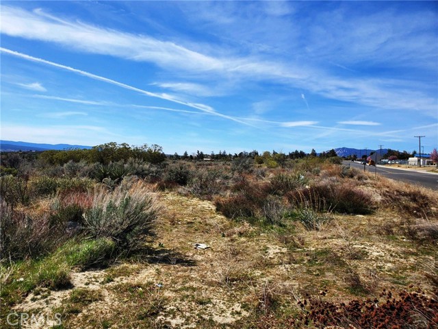 MLS #SW25221214 image #6