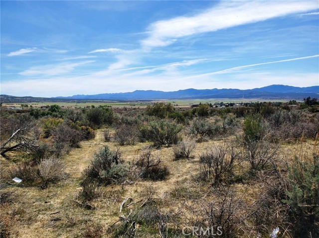 MLS #SW25221214 image #7