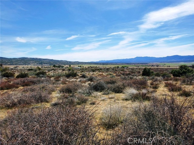 MLS #SW25221214 image #8