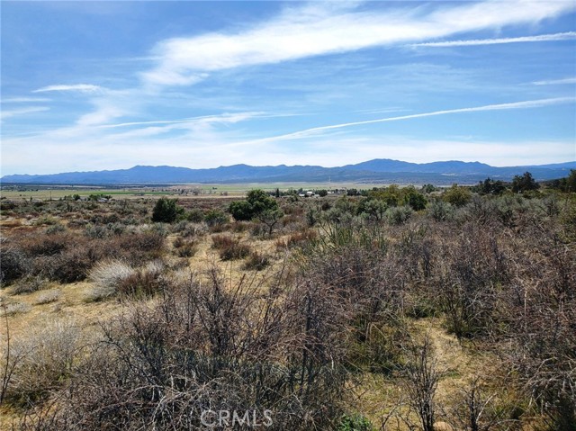 MLS #SW25221214 image #9