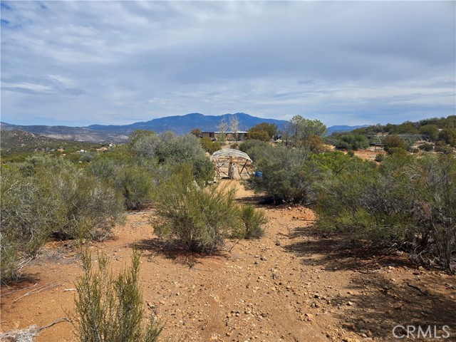 MLS #SW25221528 image #0