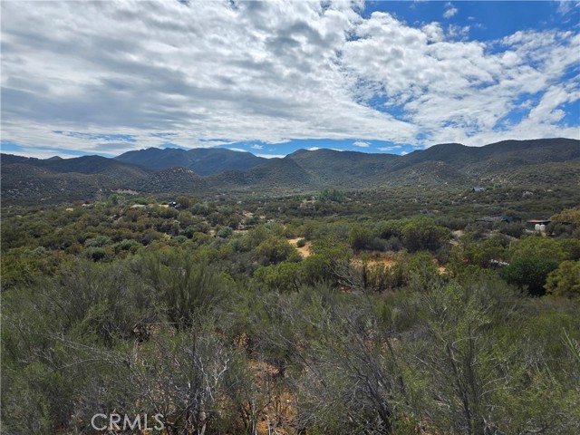MLS #SW25221528 image #1