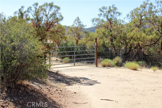 MLS #SW25221528 image #11
