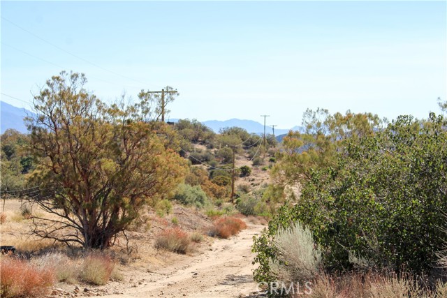 MLS #SW25221528 image #12