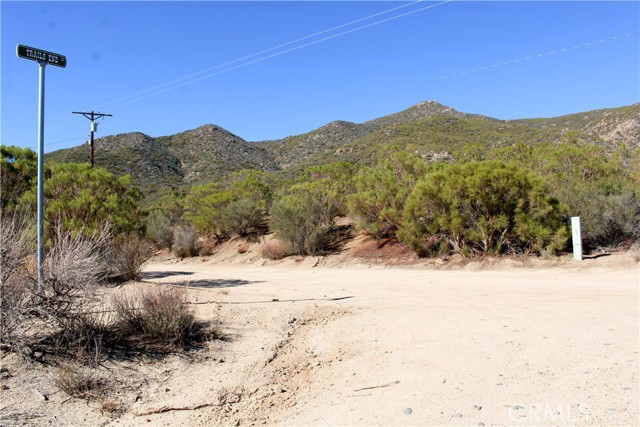 MLS #SW25221528 image #13