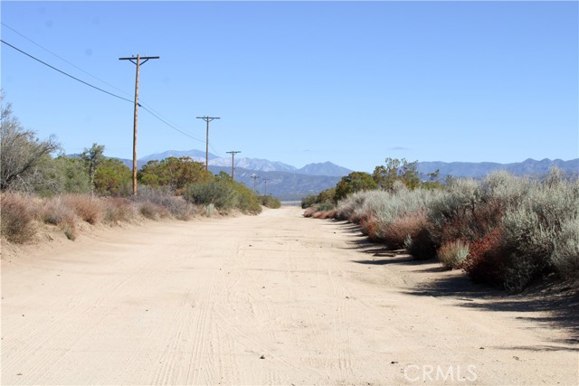 MLS #SW25221528 image #14
