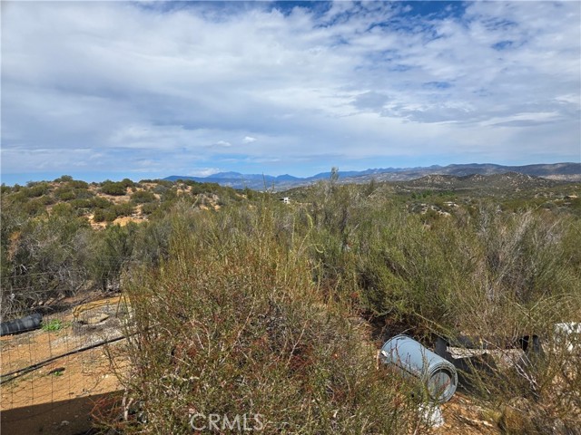 MLS #SW25221528 image #16