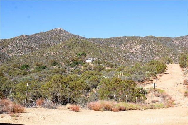 MLS #SW25221528 image #3