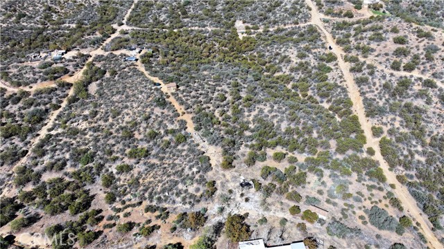 MLS #SW25221528 image #5