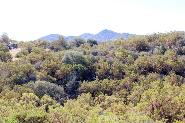 MLS #SW25221528 image #6