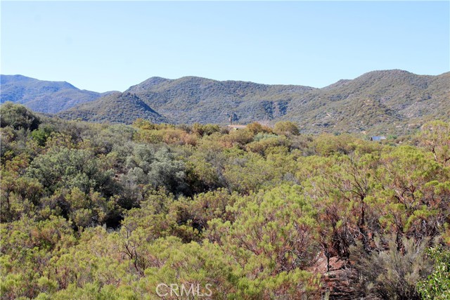 MLS #SW25221528 image #7
