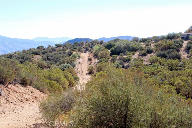 MLS #SW25221528 image #9
