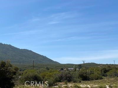 MLS #SW25221593 image #11