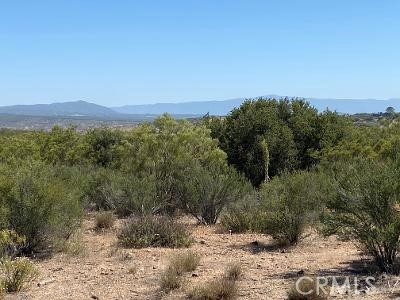 MLS #SW25221593 image #12