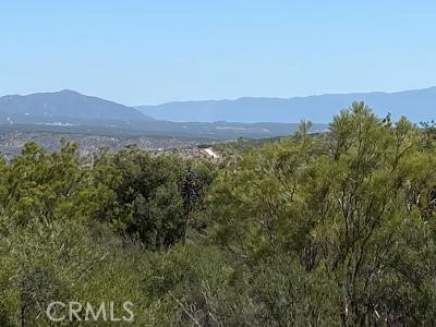 MLS #SW25221593 image #14