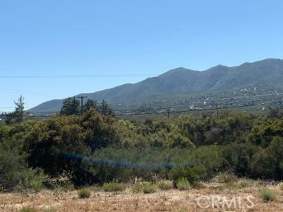 MLS #SW25221593 image #15
