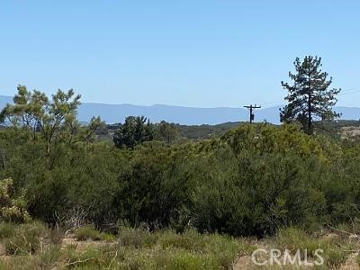 MLS #SW25221593 image #16