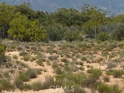 MLS #SW25221593 image #2