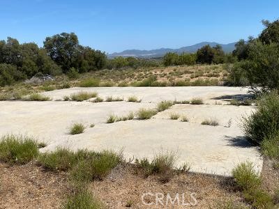MLS #SW25221593 image #3