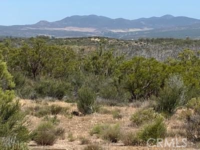 MLS #SW25221593 image #5