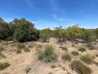 MLS #SW25221593 image #6