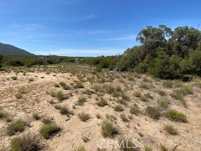 MLS #SW25221593 image #7