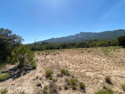 MLS #SW25221593 image #8