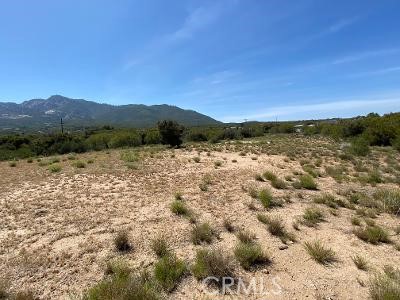 MLS #SW25221593 image #9