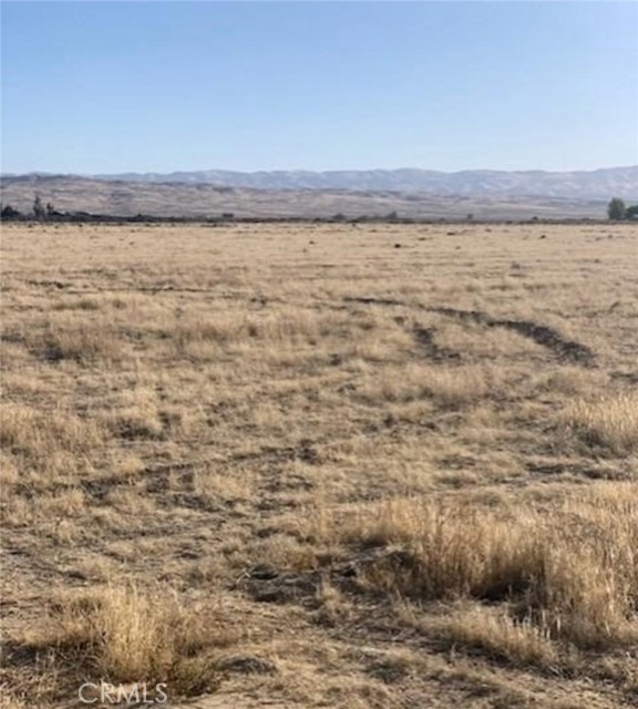 MLS #SW25221775 image #1