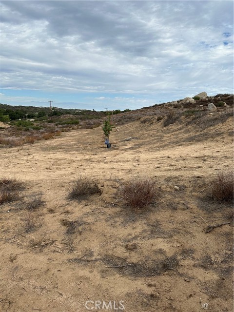 MLS #SW25222023 image #53