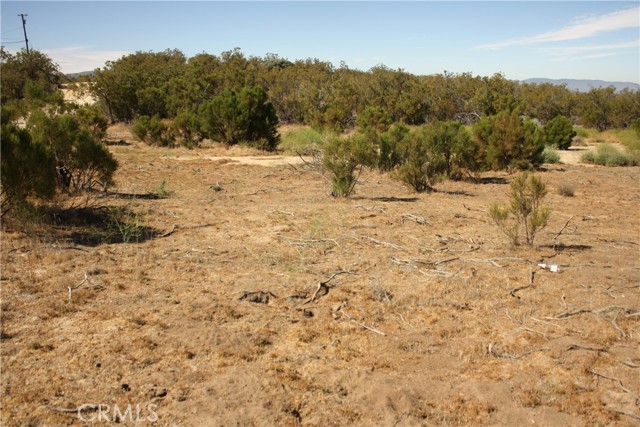 MLS #SW25222746 image #11