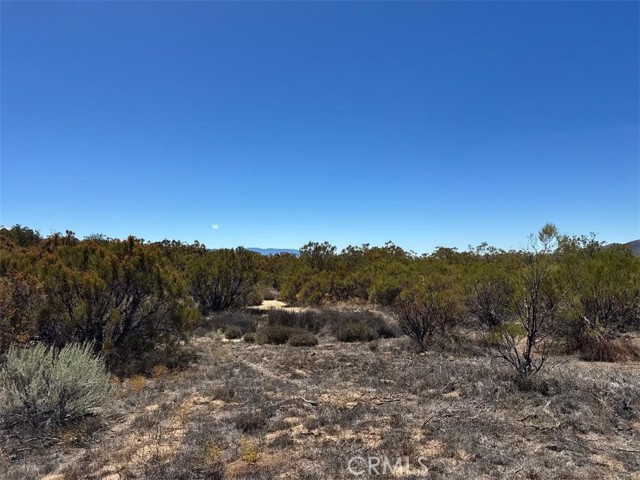 MLS #SW25222746 image #12