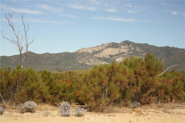 MLS #SW25222746 image #13