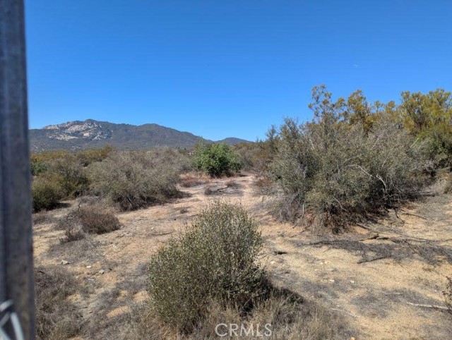 MLS #SW25222746 image #14