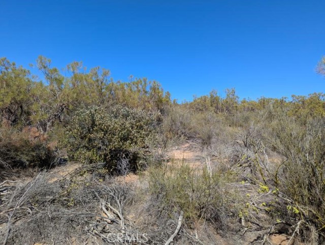 MLS #SW25222746 image #15