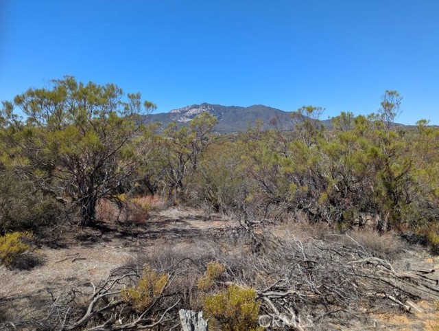 MLS #SW25222746 image #16