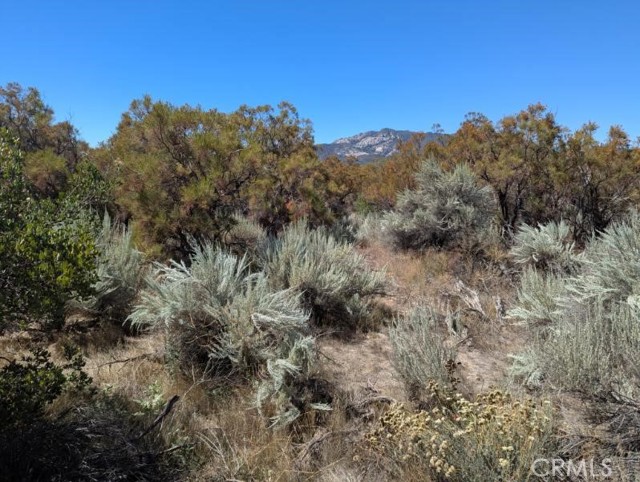 MLS #SW25222746 image #18