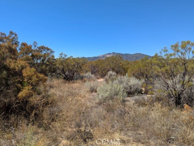 MLS #SW25222746 image #19