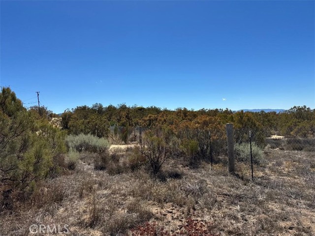 MLS #SW25222746 image #20