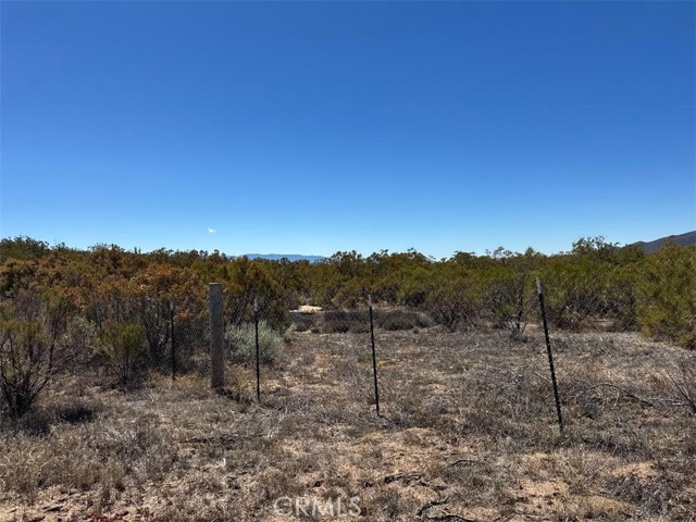 MLS #SW25222746 image #21