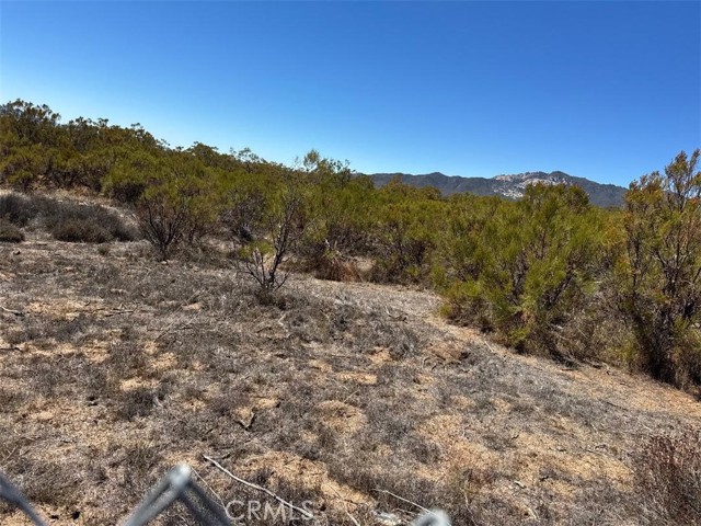 MLS #SW25222746 image #22