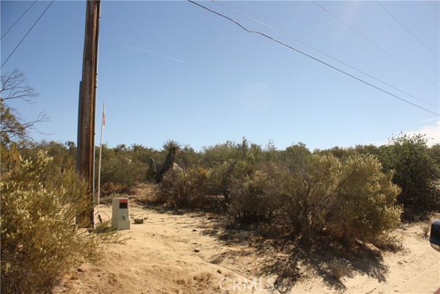MLS #SW25222746 image #23