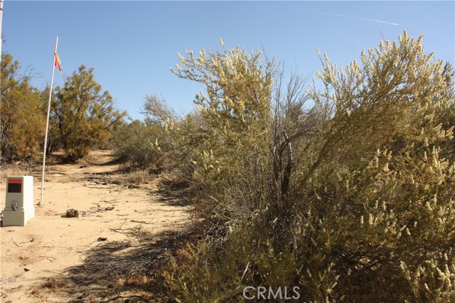 MLS #SW25222746 image #24