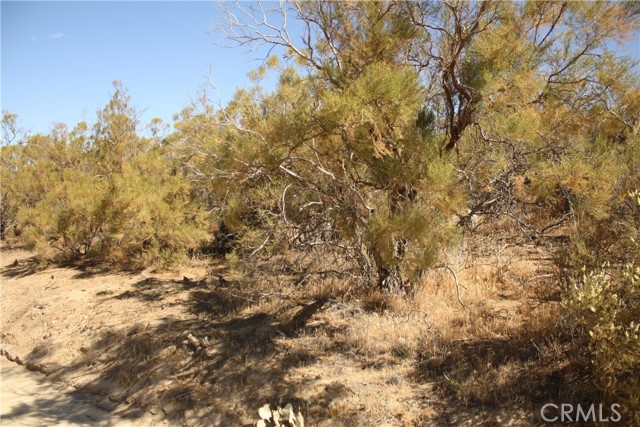 MLS #SW25222746 image #25