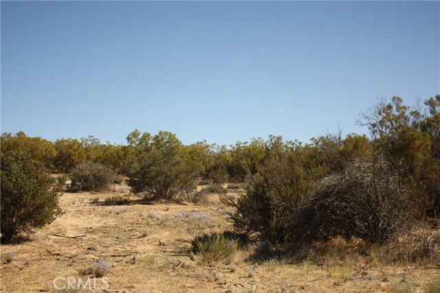 MLS #SW25222746 image #26